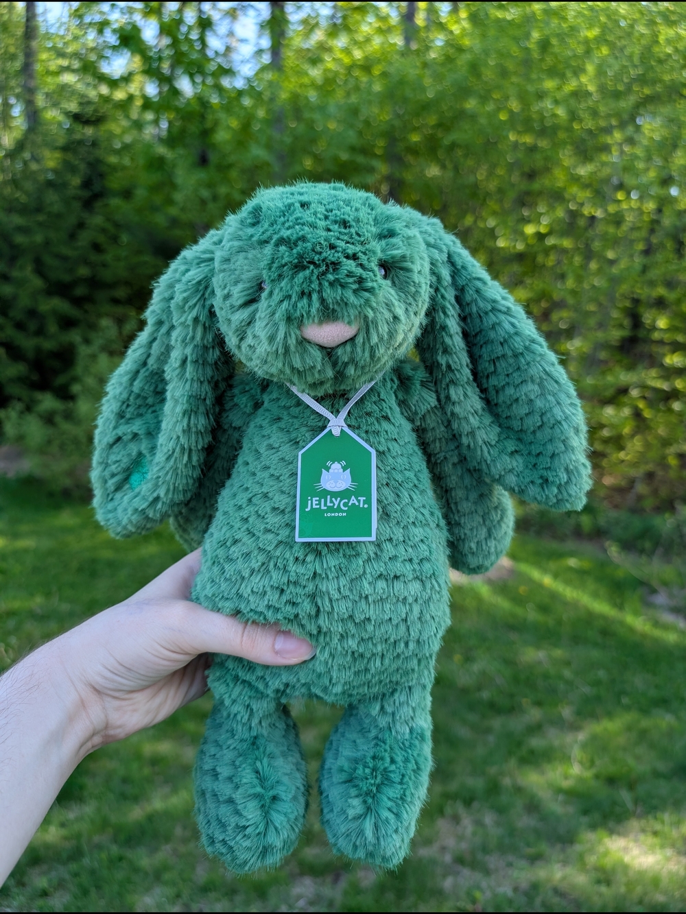 Jellycat Blathnaid Bunny (Ireland Exclusive) BNWT + matching Jellycat sticker